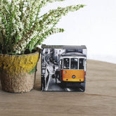 Lemon Soap (50gr) - Tram Package